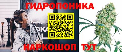 шишки Малоярославец