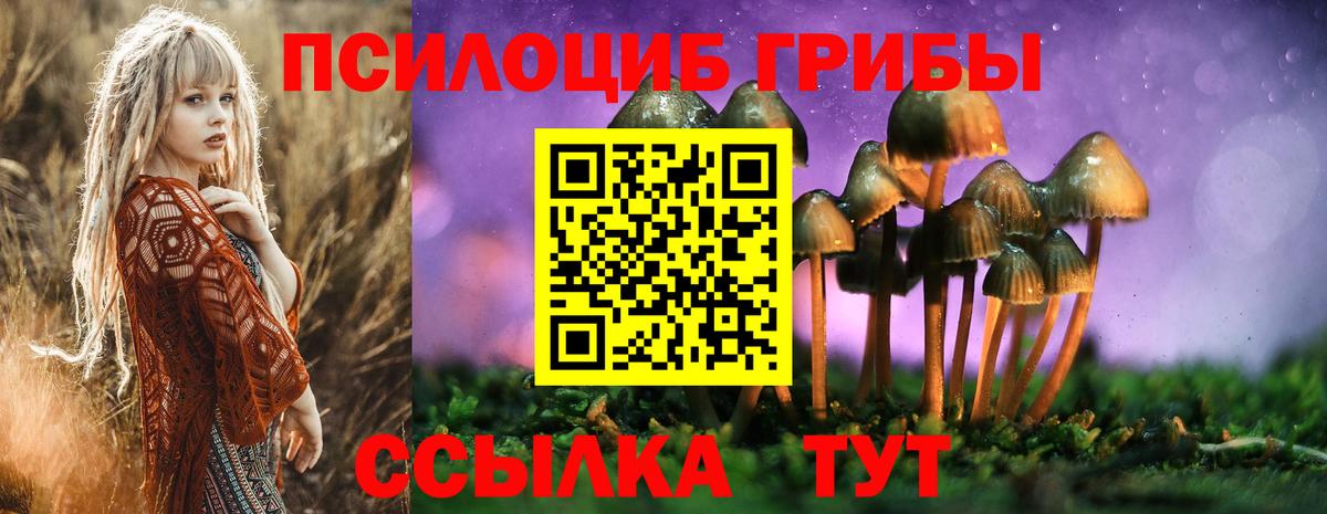 Псилоцибиновые грибы мицелий Тара